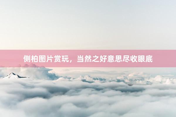 侧柏图片赏玩，当然之好意思尽收眼底