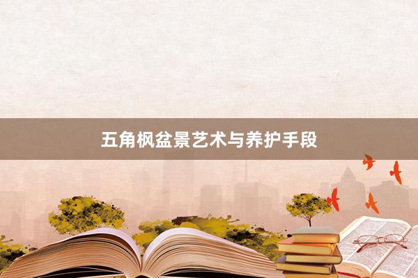 五角枫盆景艺术与养护手段