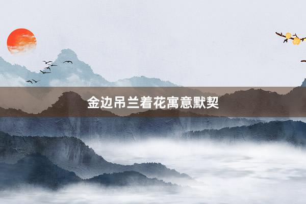 金边吊兰着花寓意默契
